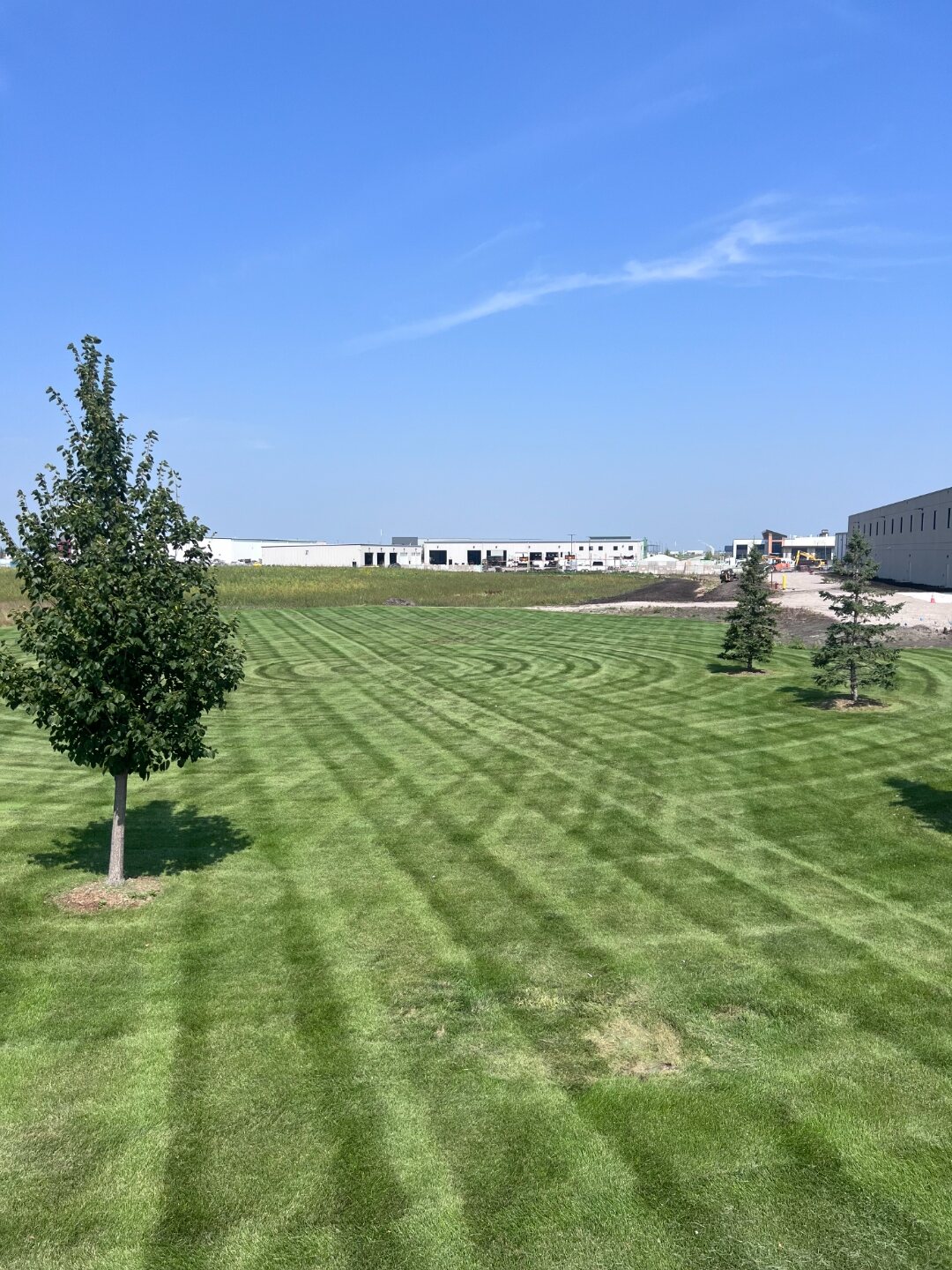 Perfect Turf lawn care work showing a clean residential yard