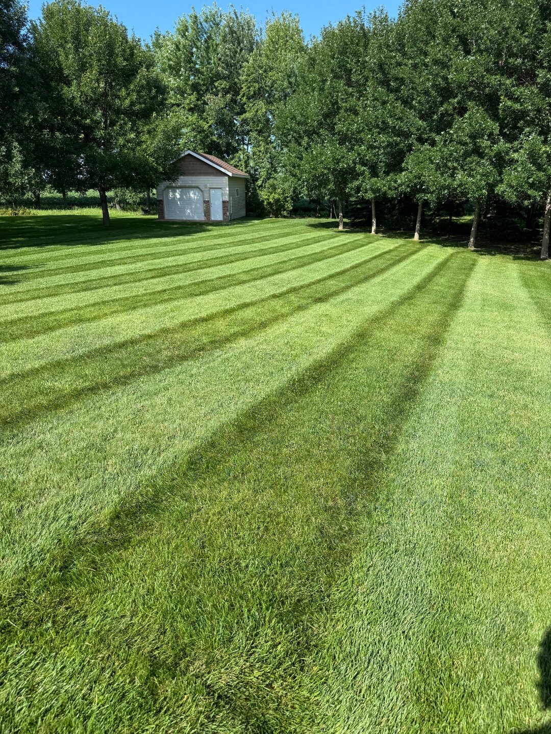 Freshly mowed lawn with clean stripe pattern by Perfect Turf