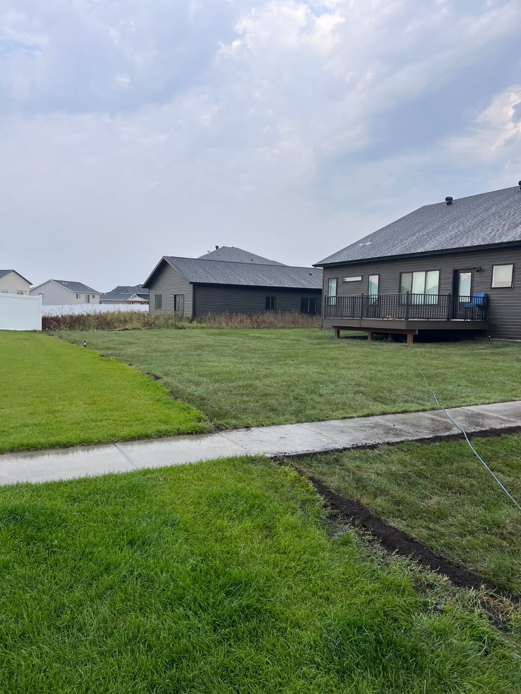 Backyard after Perfect Turf sod installation showing fresh green lawn and clean edges beside a sidewalk