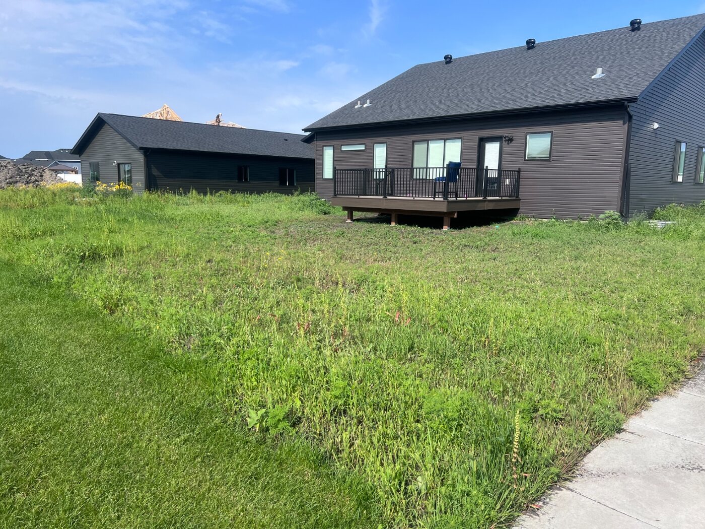 Backyard before sod installation showing weedy uneven turf beside a patio and sidewalk