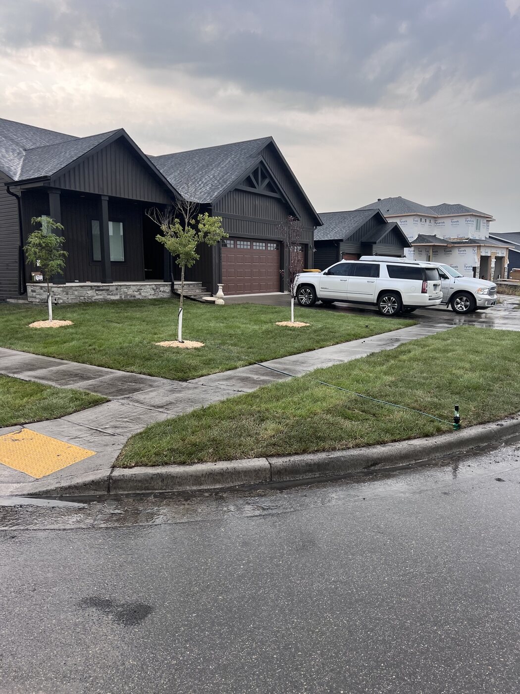Front yard after Perfect Turf sod installation with fresh grass, clean sidewalk edges, and watering in progress