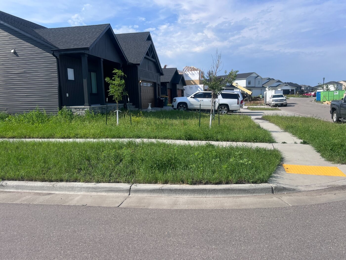 Front yard before sod installation with tall uneven grass and weeds along a Fargo-Moorhead sidewalk
