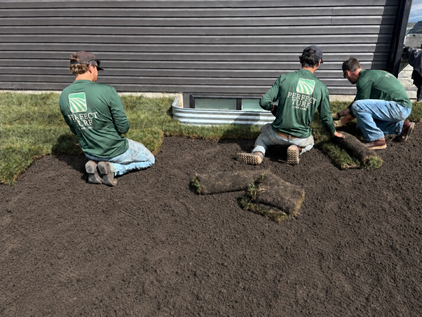 Perfect Turf crew preparing fluffy soil and laying sod during a Fargo-Moorhead sod installation project